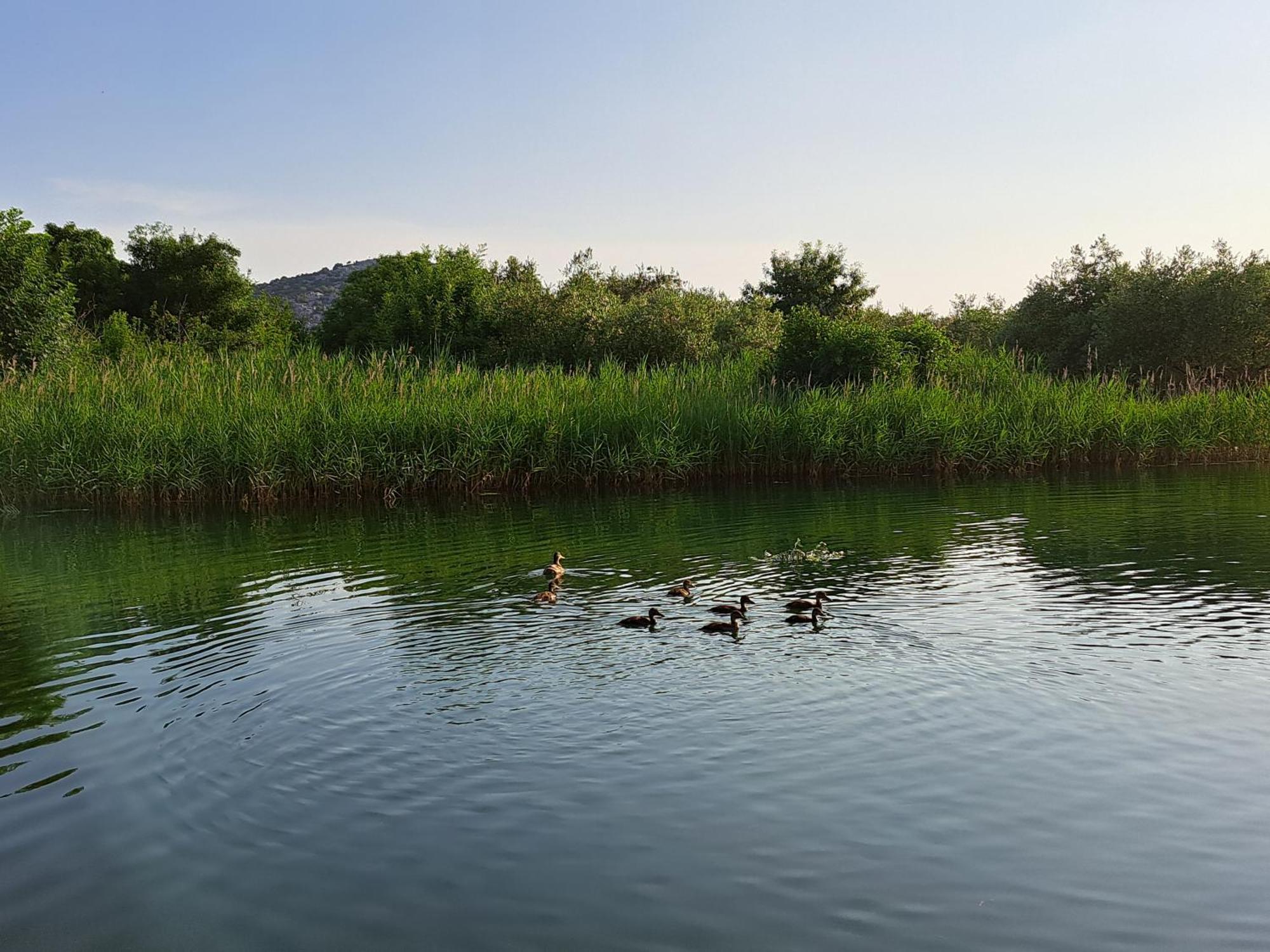 Apartmani Mostina Near River Ploce  Bagian luar foto